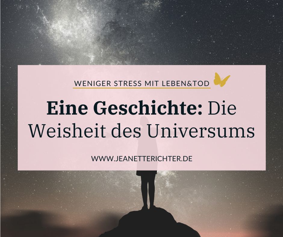 Die Weisheit des Universums