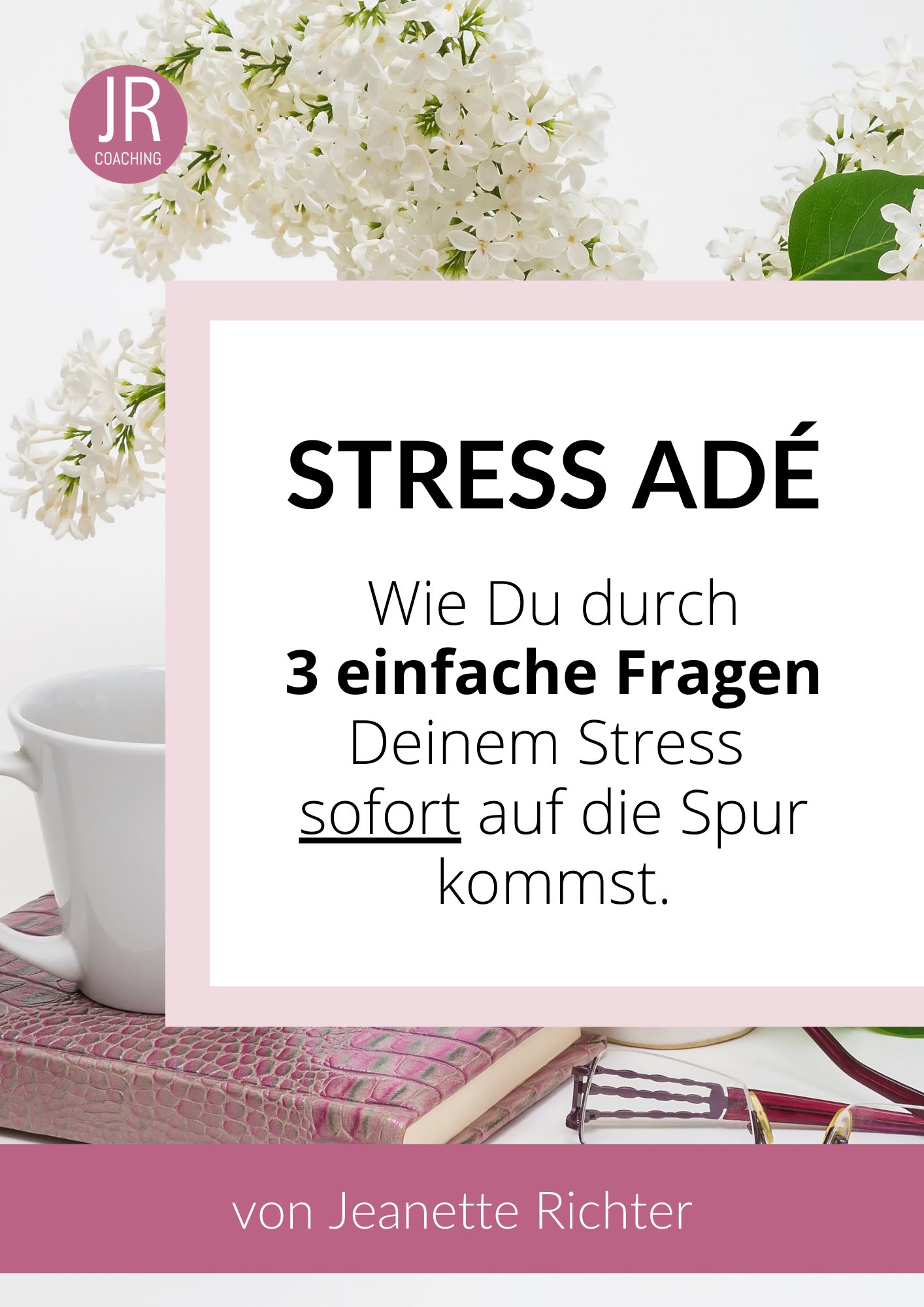 Stress ade Leitfaden