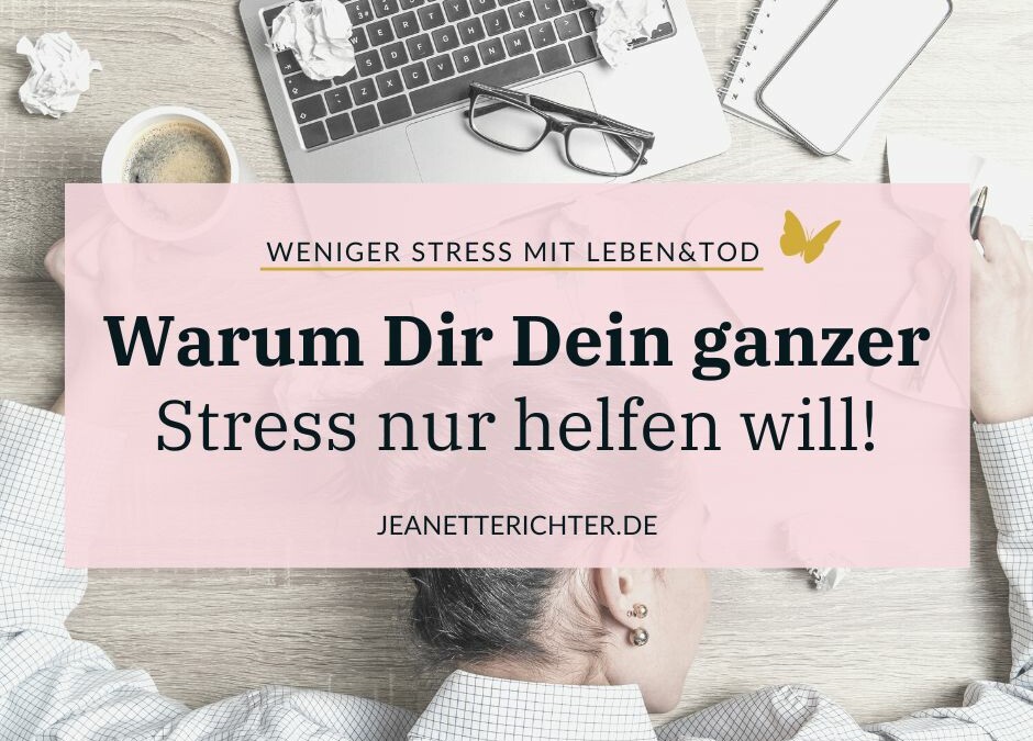 Der Nutzen vom Stress? Er will Dir nur helfen!