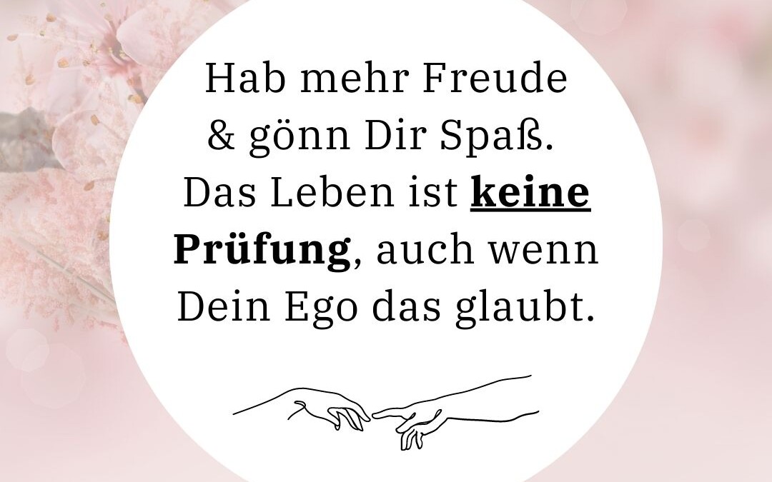 Das Leben ist keine Prüfung