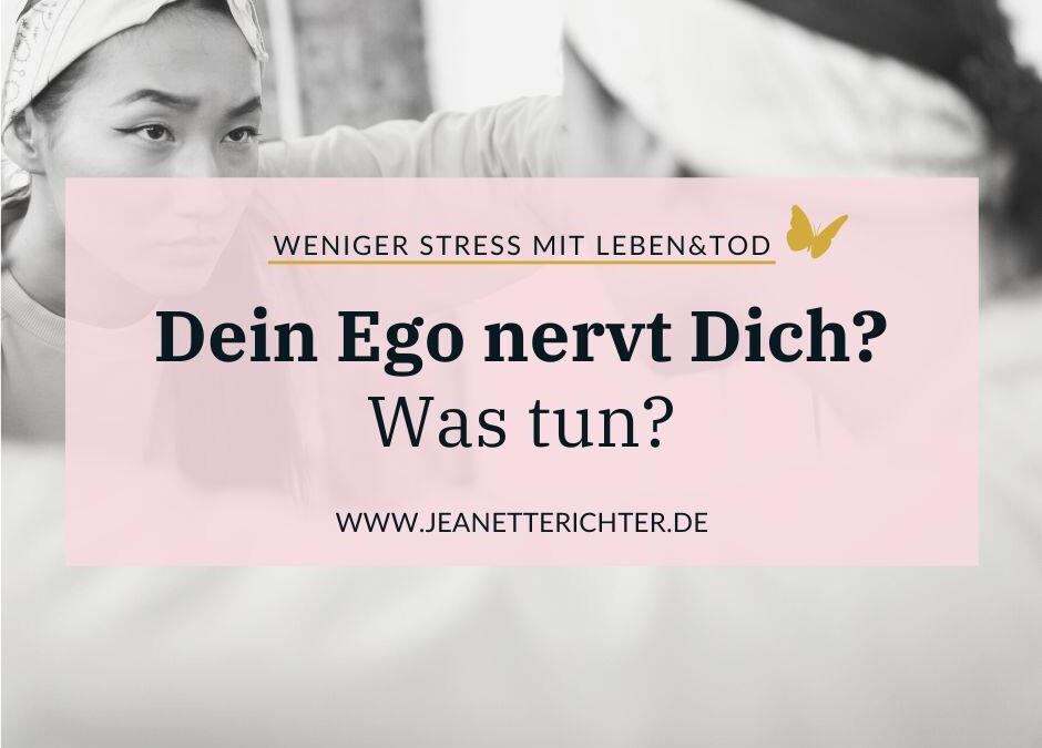 Woran merkst Du, dass Dir Dein Ego in die Quere kommt?