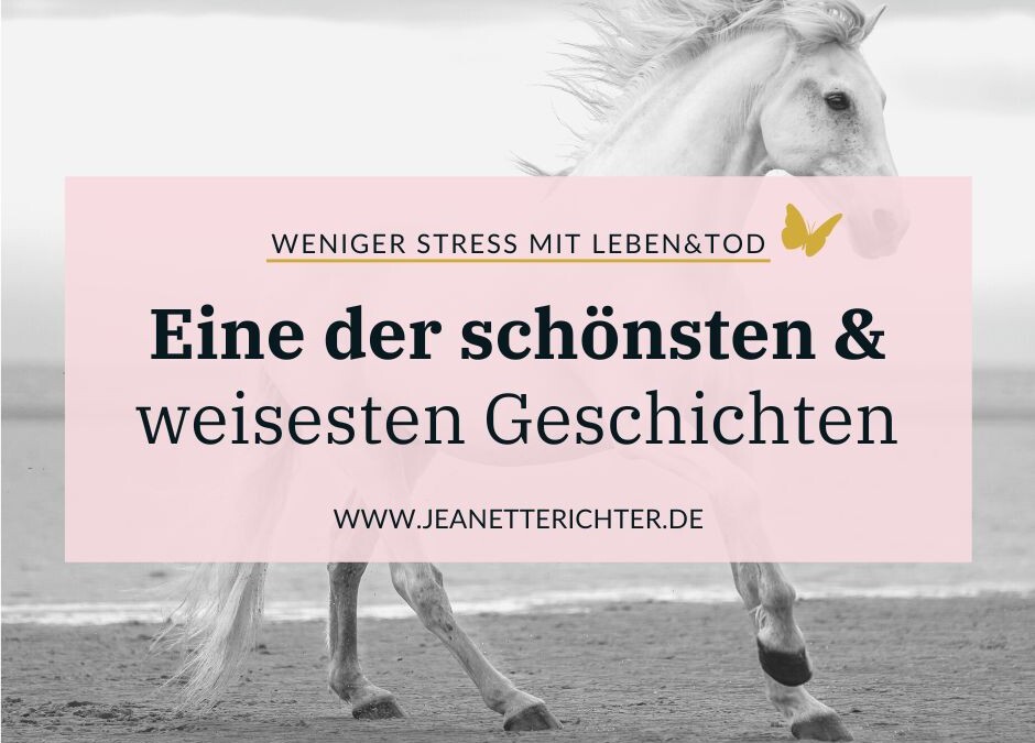 Glück oder Unglück? Eine Geschichte