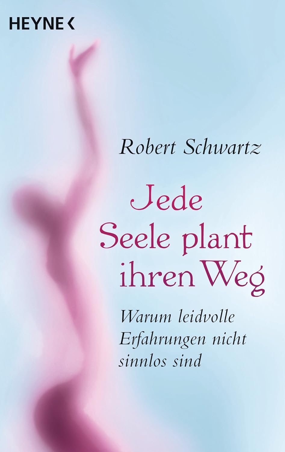 Buchtipp Jede Seele plant ihren Weg