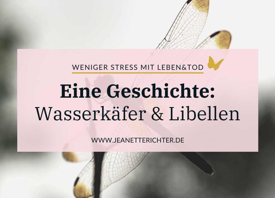 Eine Geschichte von Wasserkäfern und Libellen