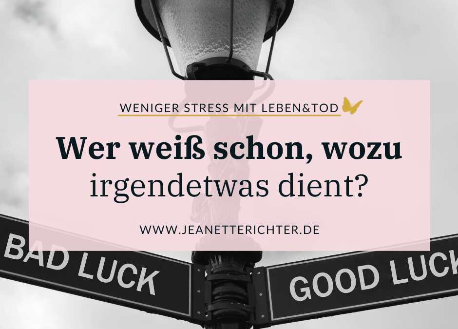 Wer weiß, wozu irgendetwas dient? Meinungen, Sinnfragen & Co.