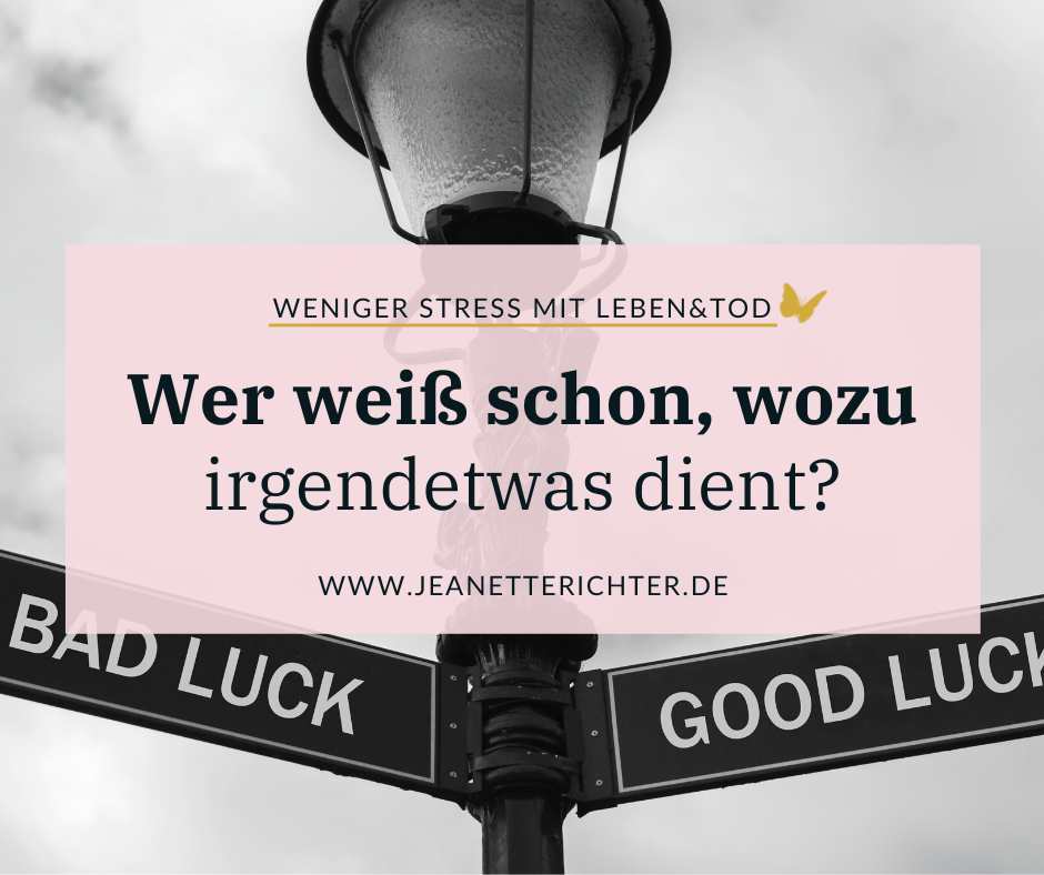 Sinnfragen Wer weiß, wozu irgendetwas dient