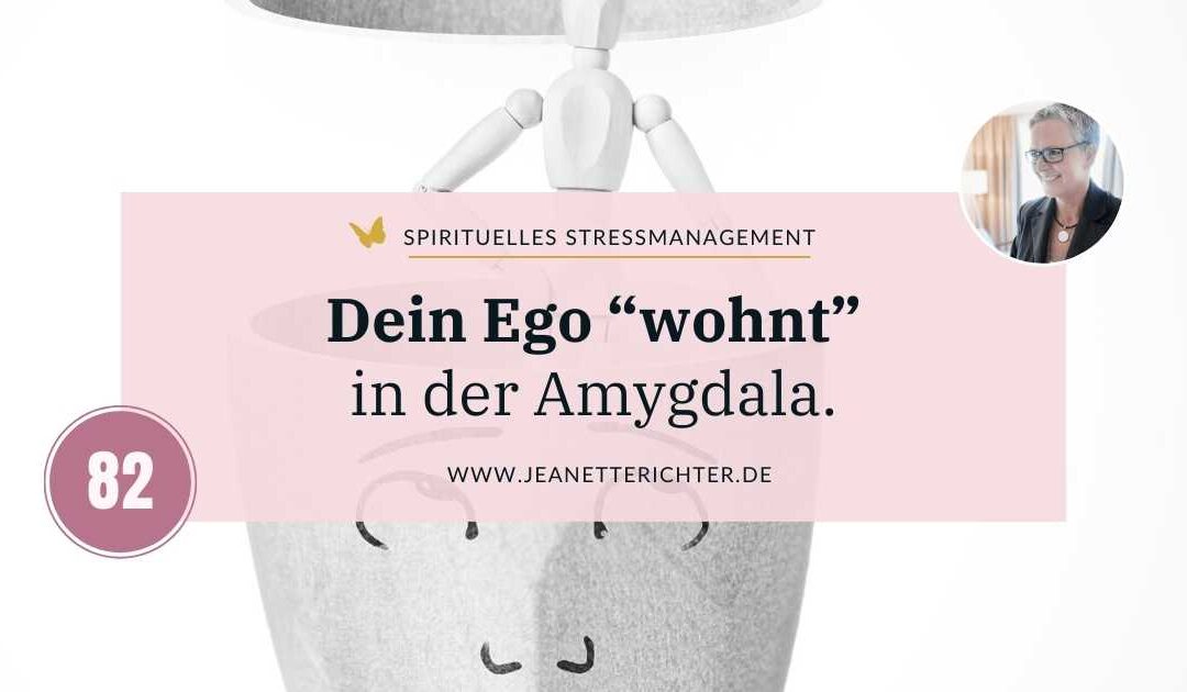 Lektion 82: Dein Ego wohnt in der Amygdala.