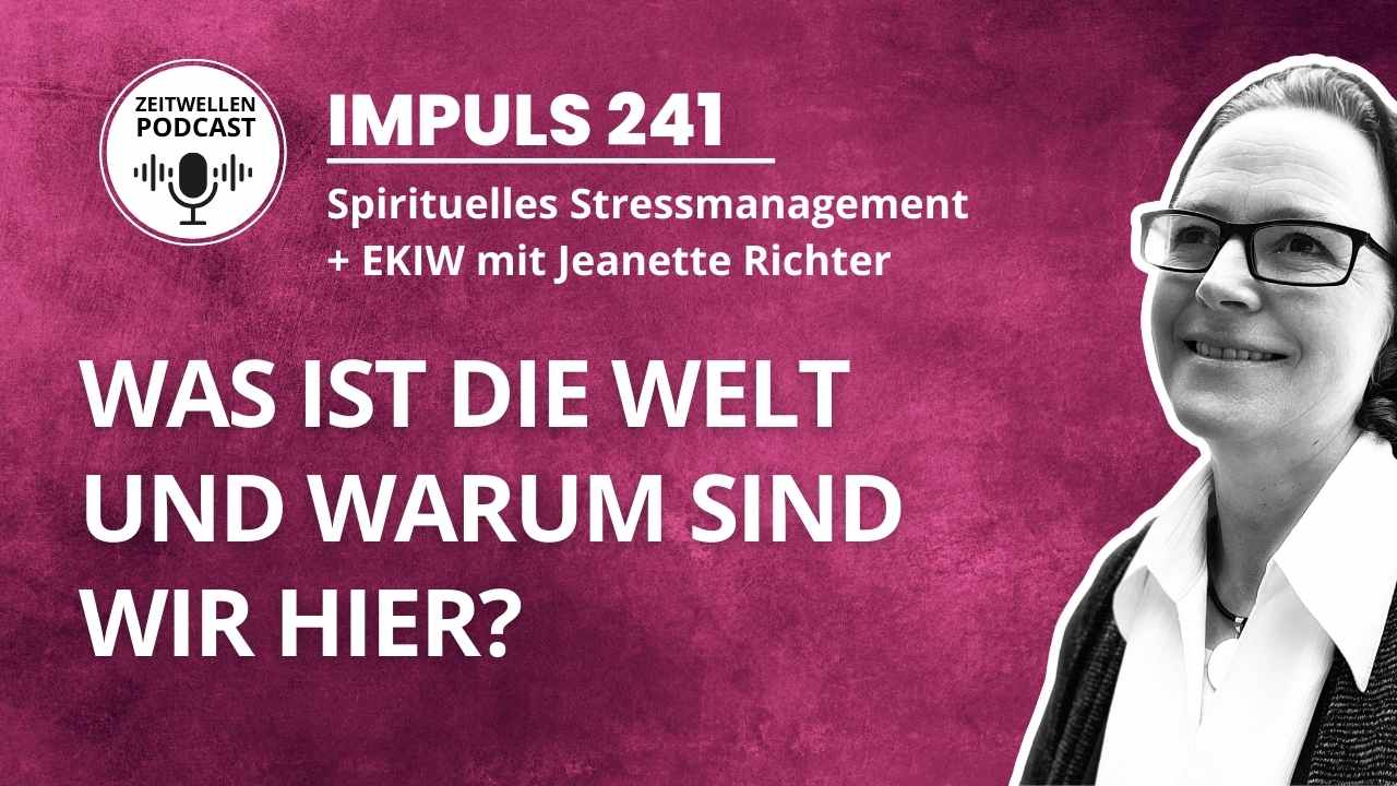 Impuls 241