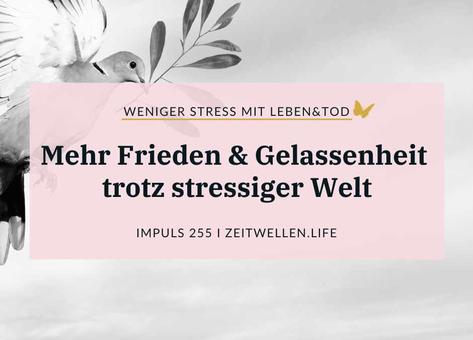 255 Bewusste Ruhe: Den ganzen Tag in Frieden erleben