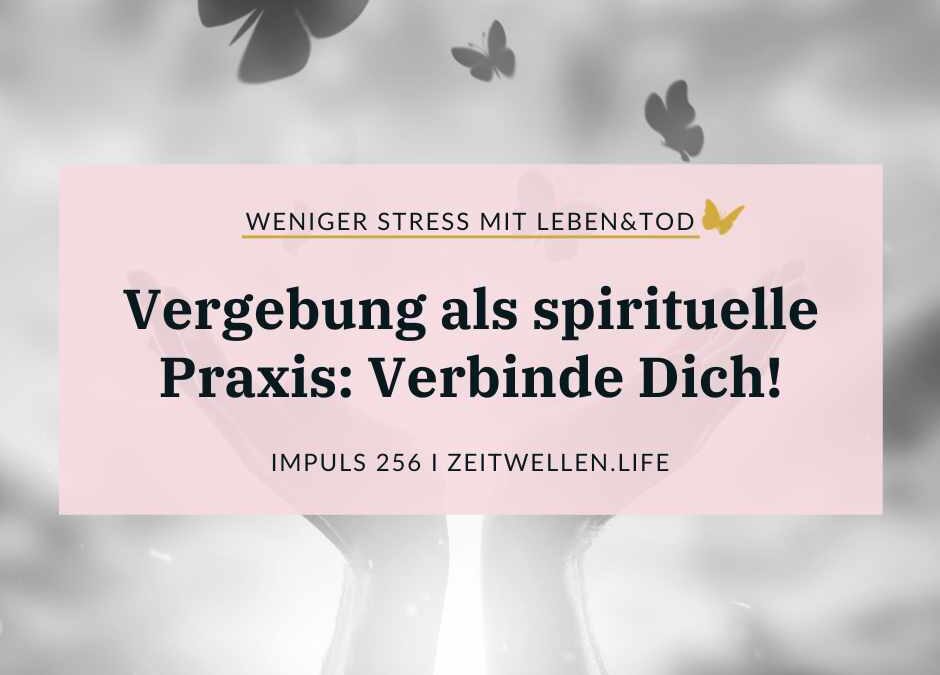 256 Vergebung als spirituelle Praxis: Verbinde Dich!