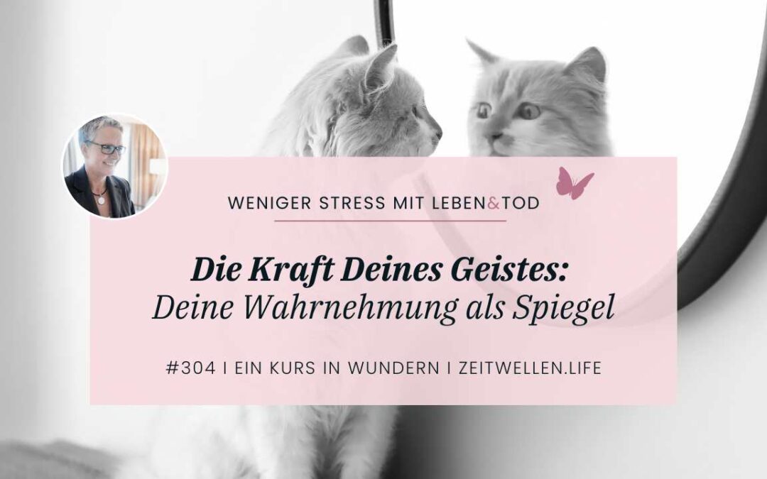 304 Die Kraft Deines Geistes: Deine Wahrnehmung als Spiegel