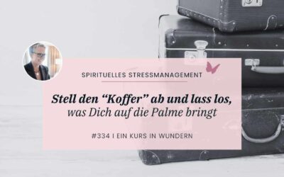 334 Vergebung: Lass endlich los, was Dich auf die Palme bringt