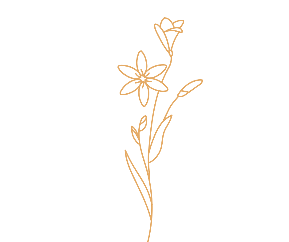 5 icon blume 3