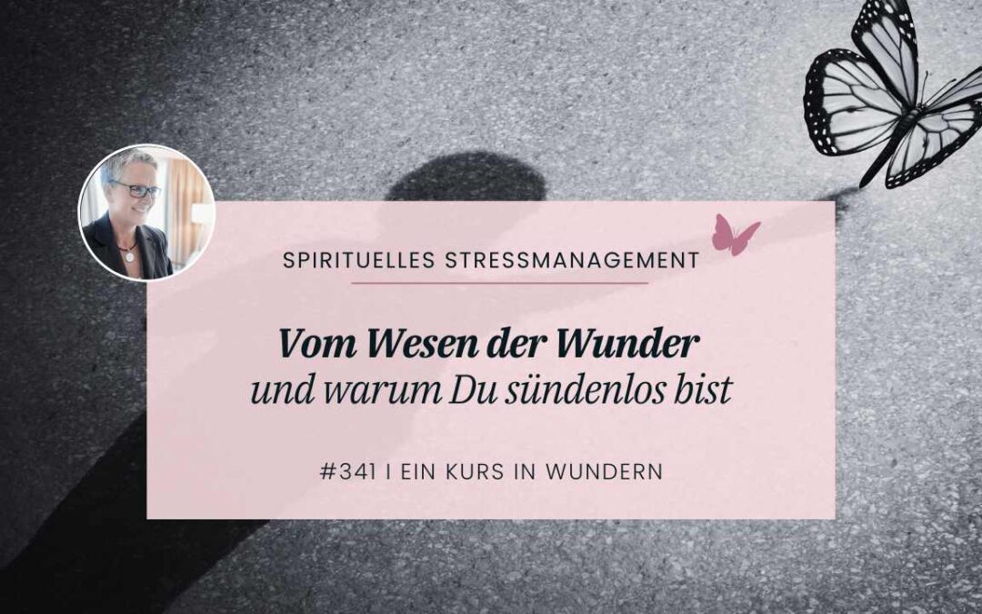 341 Vom Wesen der Wunder & Deiner Sündenlosigkeit