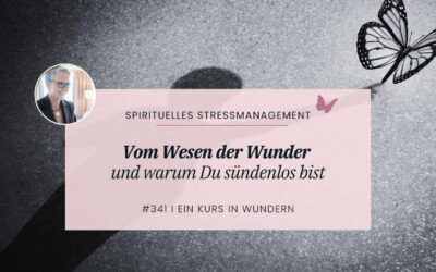 341 Vom Wesen der Wunder & Deiner Sündenlosigkeit