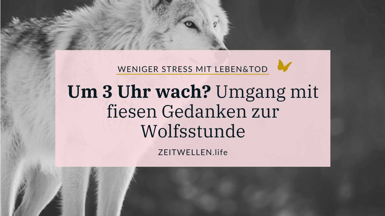 Cover zum Blogartikel Wolfsstunde