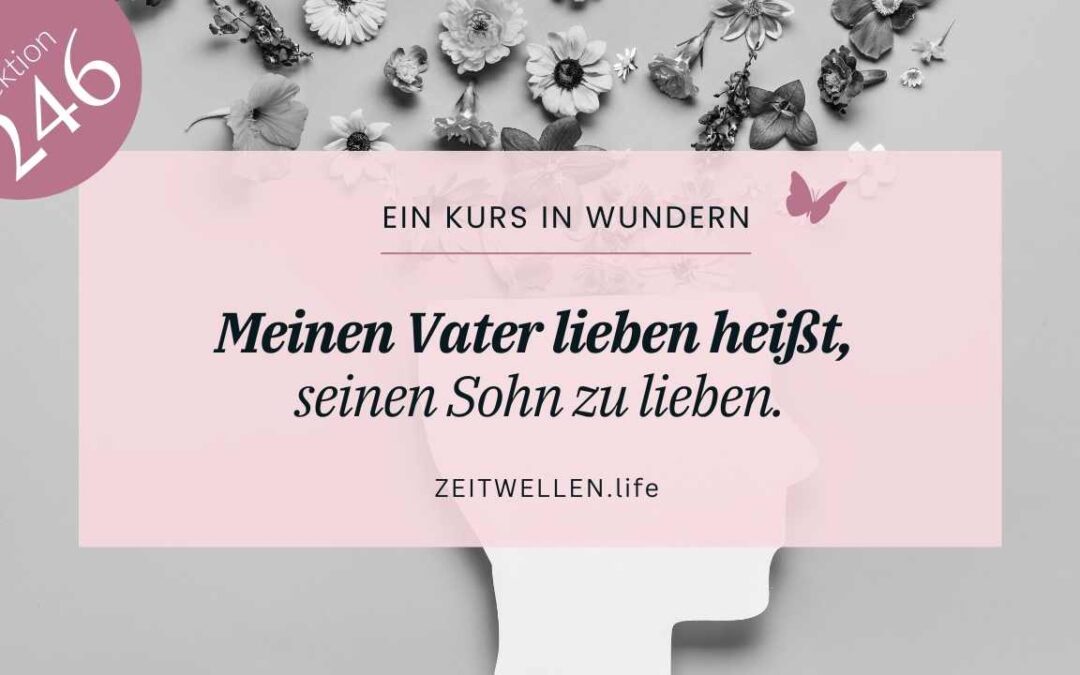 Tag 246: Frieden statt Groll – Drei kleine Impulse für Deinen Alltag