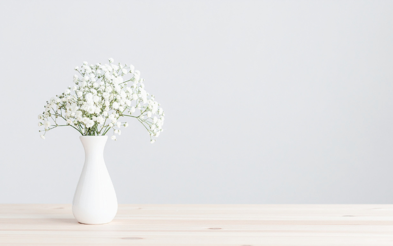 Onlinekurse Zeitwellen